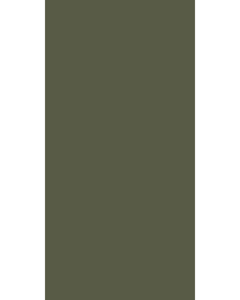 Chic Green - HG 9139 Green Plain Colors High Gloss Laminate - Dorby mica