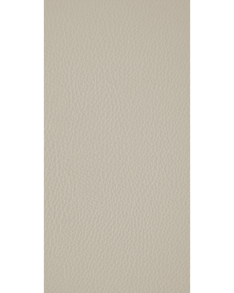 Glisten - LT 155 Beige Designer Matte Laminate - Dorby mica
