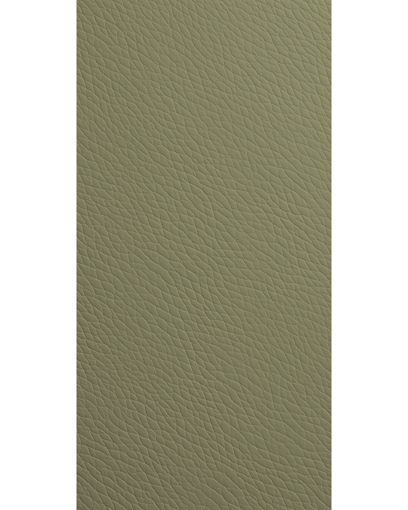 Clary Jade - LT 8180 Green Designer Matte Laminate - Dorby mica