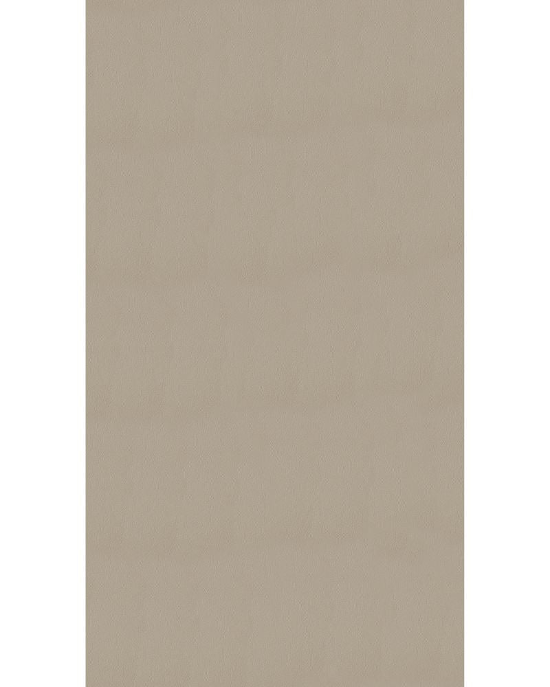 Ceramic Beige - LT 8188 Beige Plain Colors Matte Laminate - Dorby mica