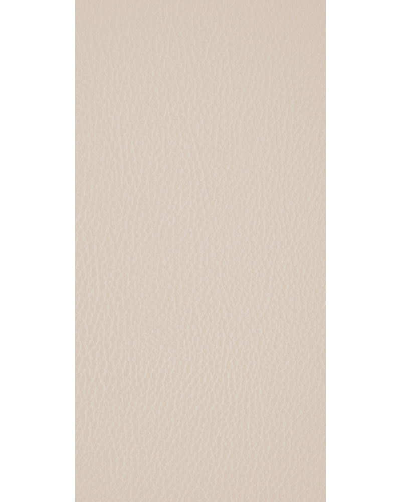 Irish Cream - LT 9111 Beige Designer Matte Laminate - Dorby mica