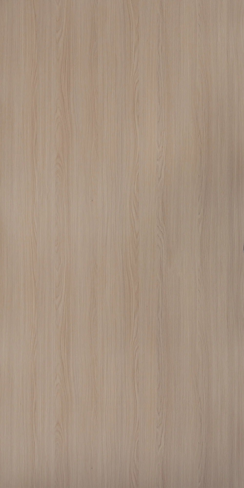 Fresh Oak Beige Wood Suede Laminate