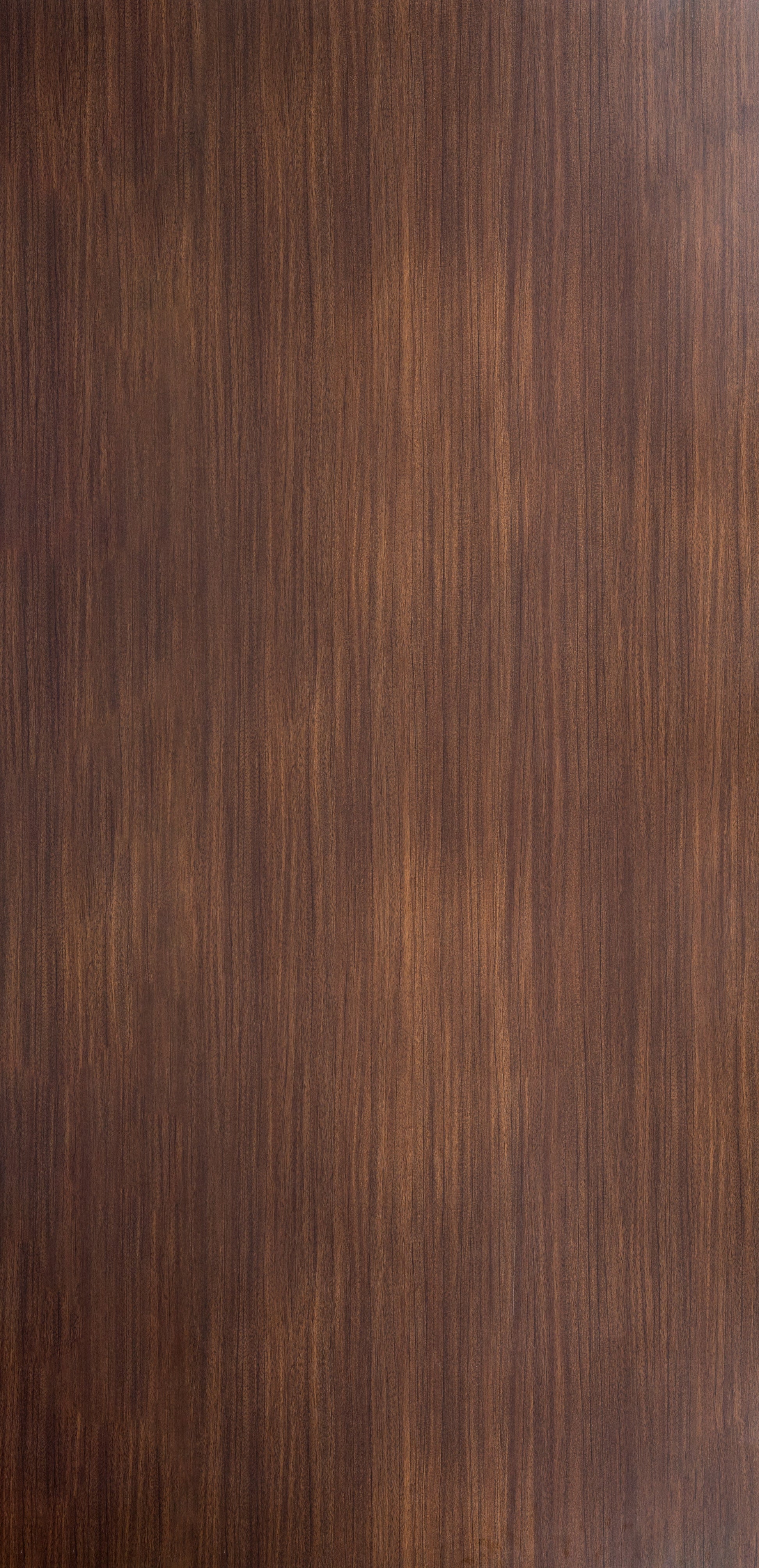 Maderia Chestnut - SF 9017 Brown Wood Suede Laminate - Dorby mica