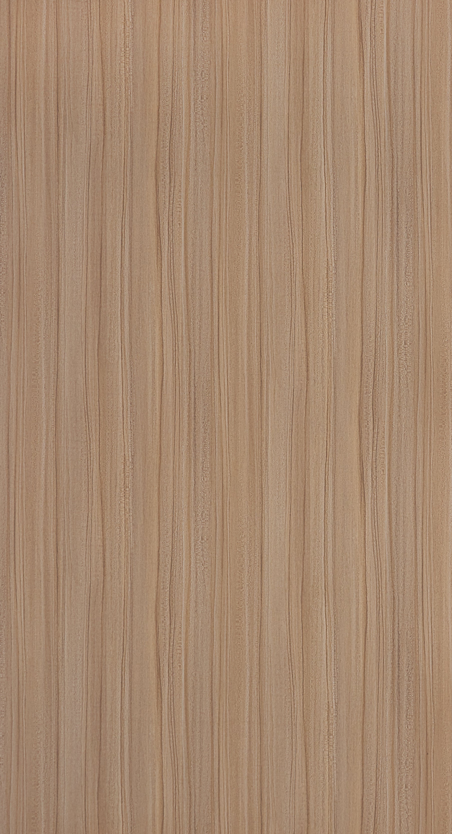Natural Lacewood - SF 9076 Beige Wood Suede Laminate - Dorby mica
