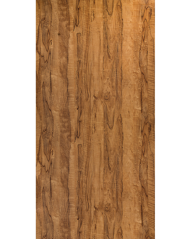 Coral Wood - TV 831 Brown Wood Texture Laminate - Dorby mica