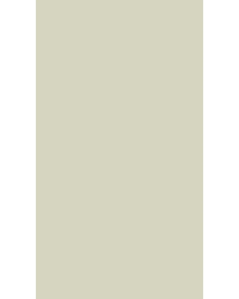 Barley Beige Plain Colors Texture Laminate