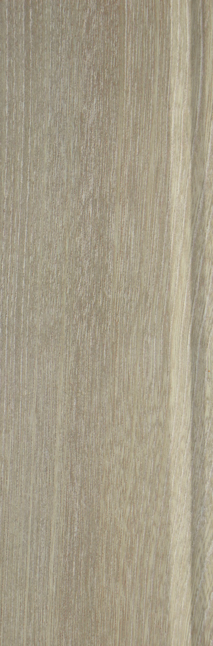Wood Valley Dyed Oak (Light) Bamboo Fiber Skirting Board wood-grain texture close-up