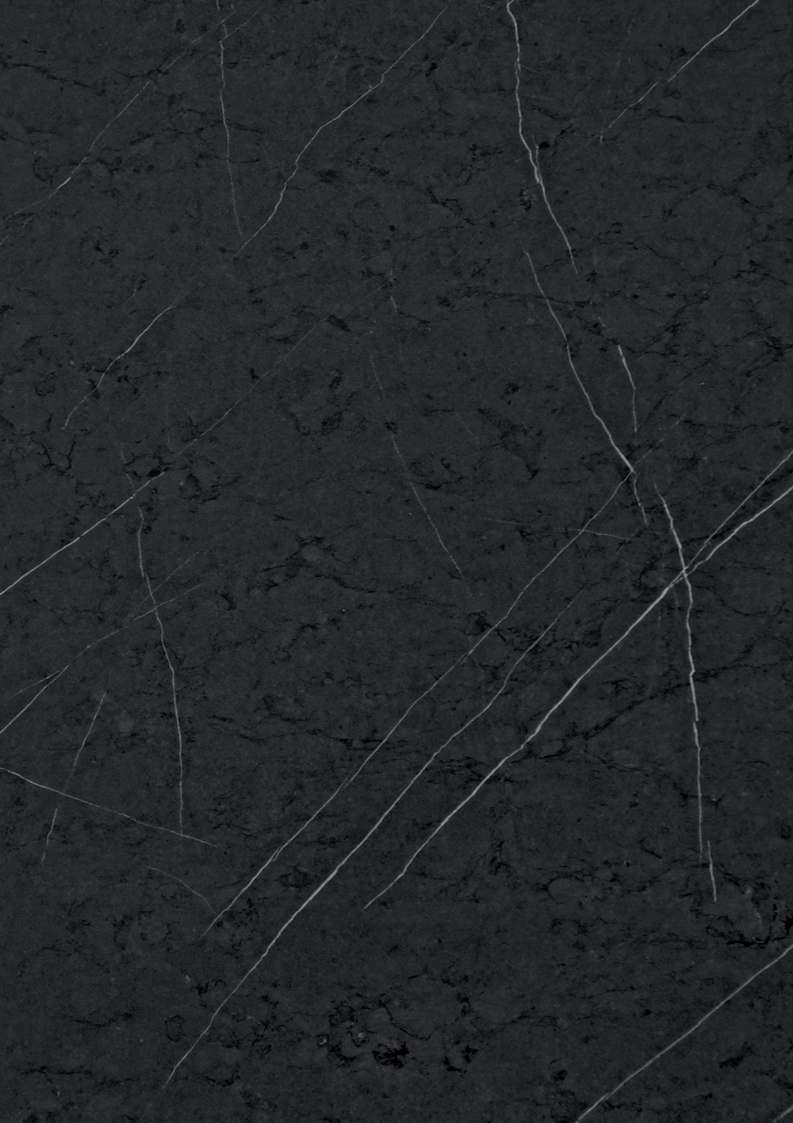 Monoso Ergo Nero Veined, glossy texture MCS wall panel