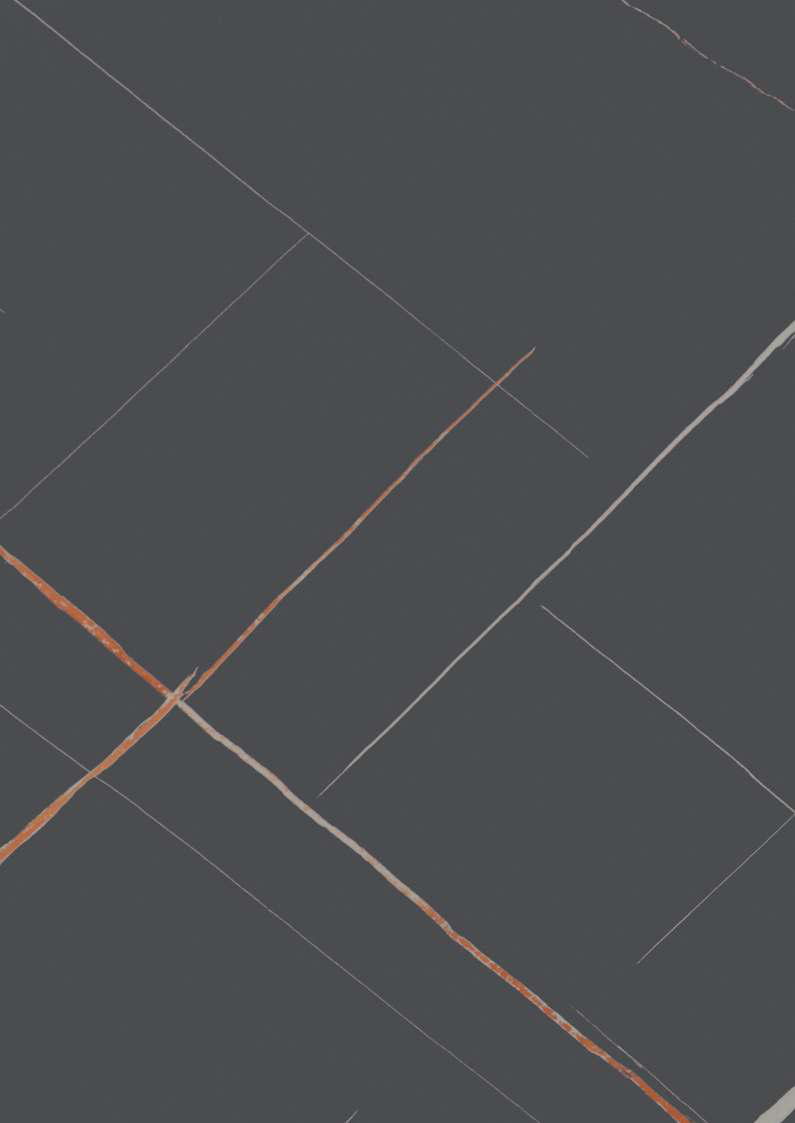 Monoso Ergo Graphite Marble, glossy texture MCS wall panel