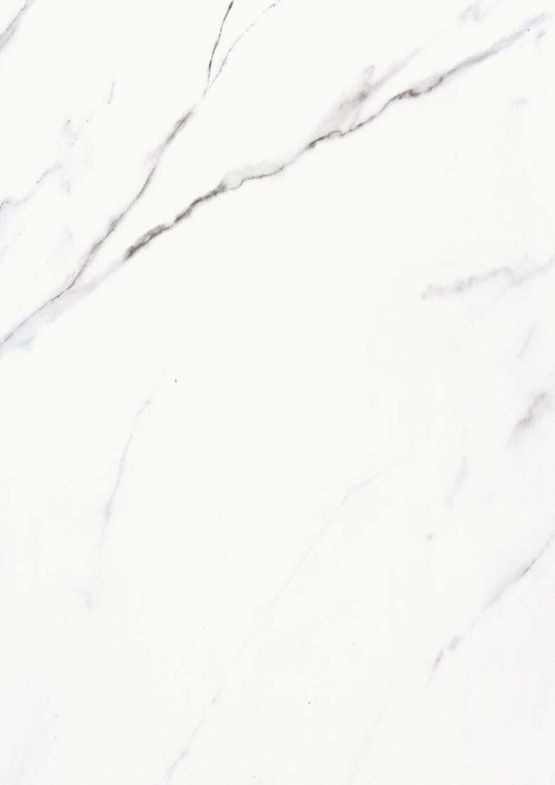 Monoso Ergo Calacatta White, glossy texture MCS wall panel