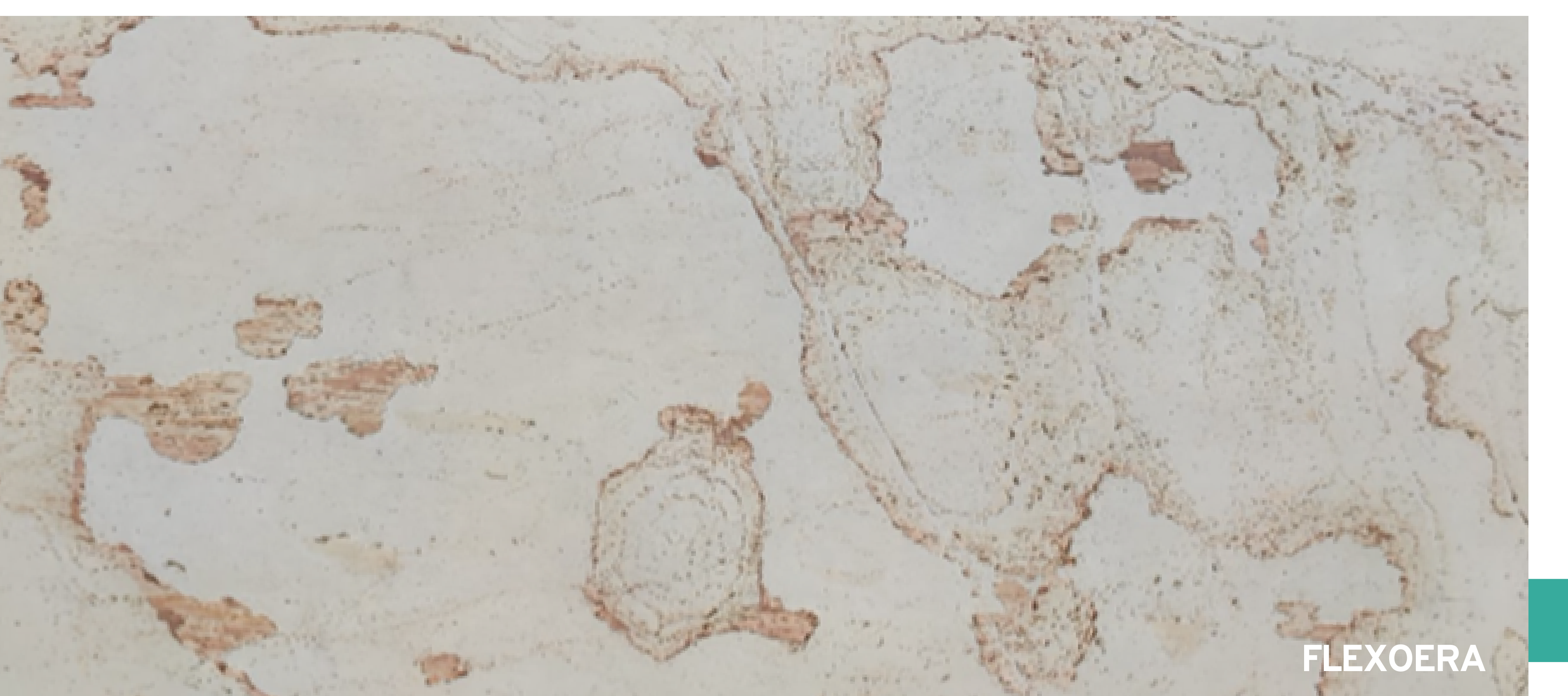 Flexoera Sandera Rust Cream flexible sandstone veneer sheet