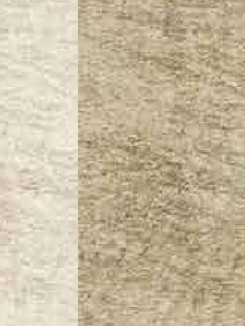 Exclusive Wallcoverings Beige wallpaper swatch