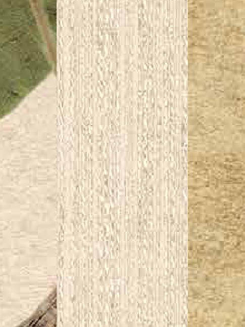 Exclusive Wallcoverings Cream wallpaper swatch