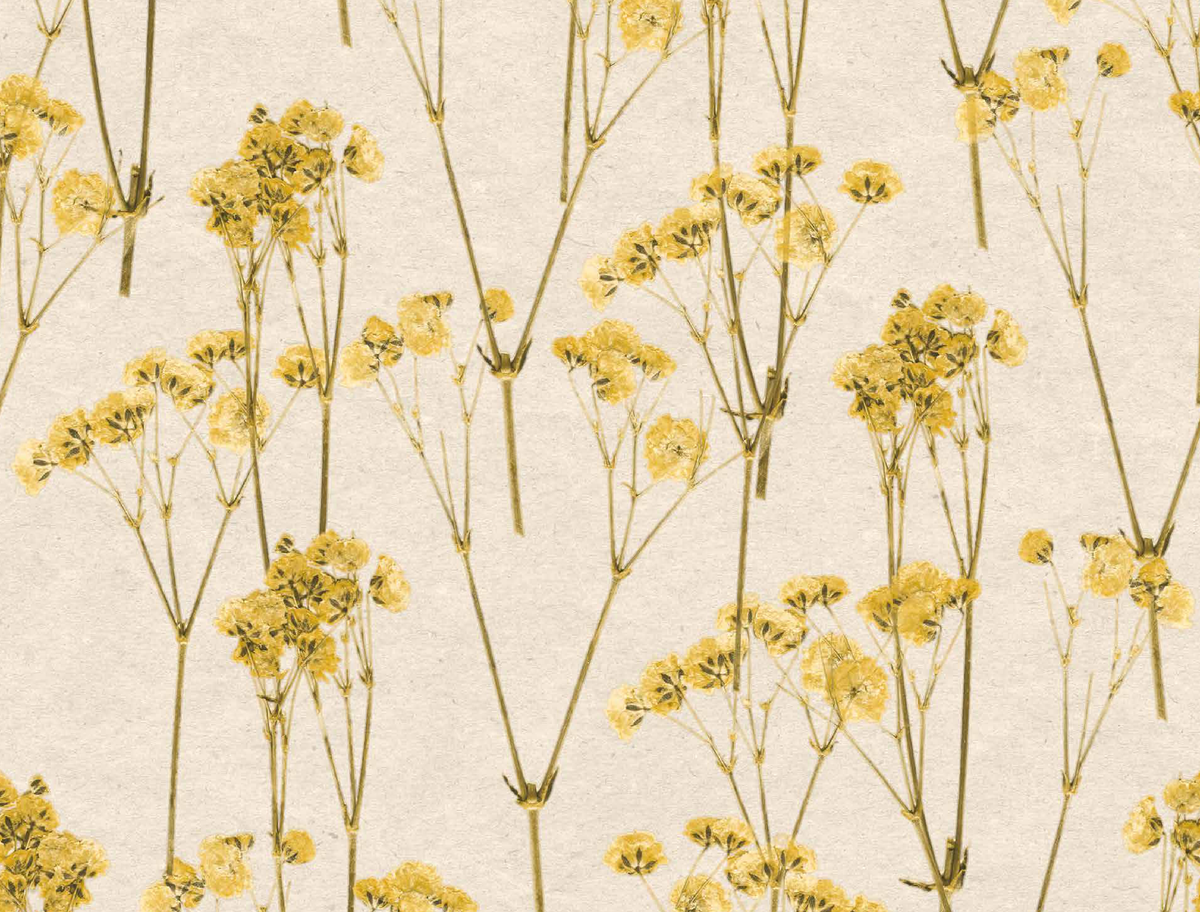 Exclusive Wallcoverings Cream wallpaper swatch