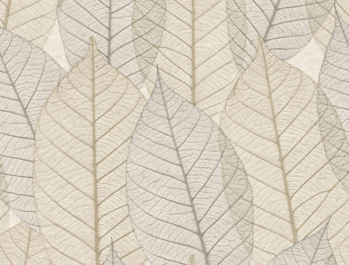 Exclusive Wallcoverings Cream wallpaper swatch