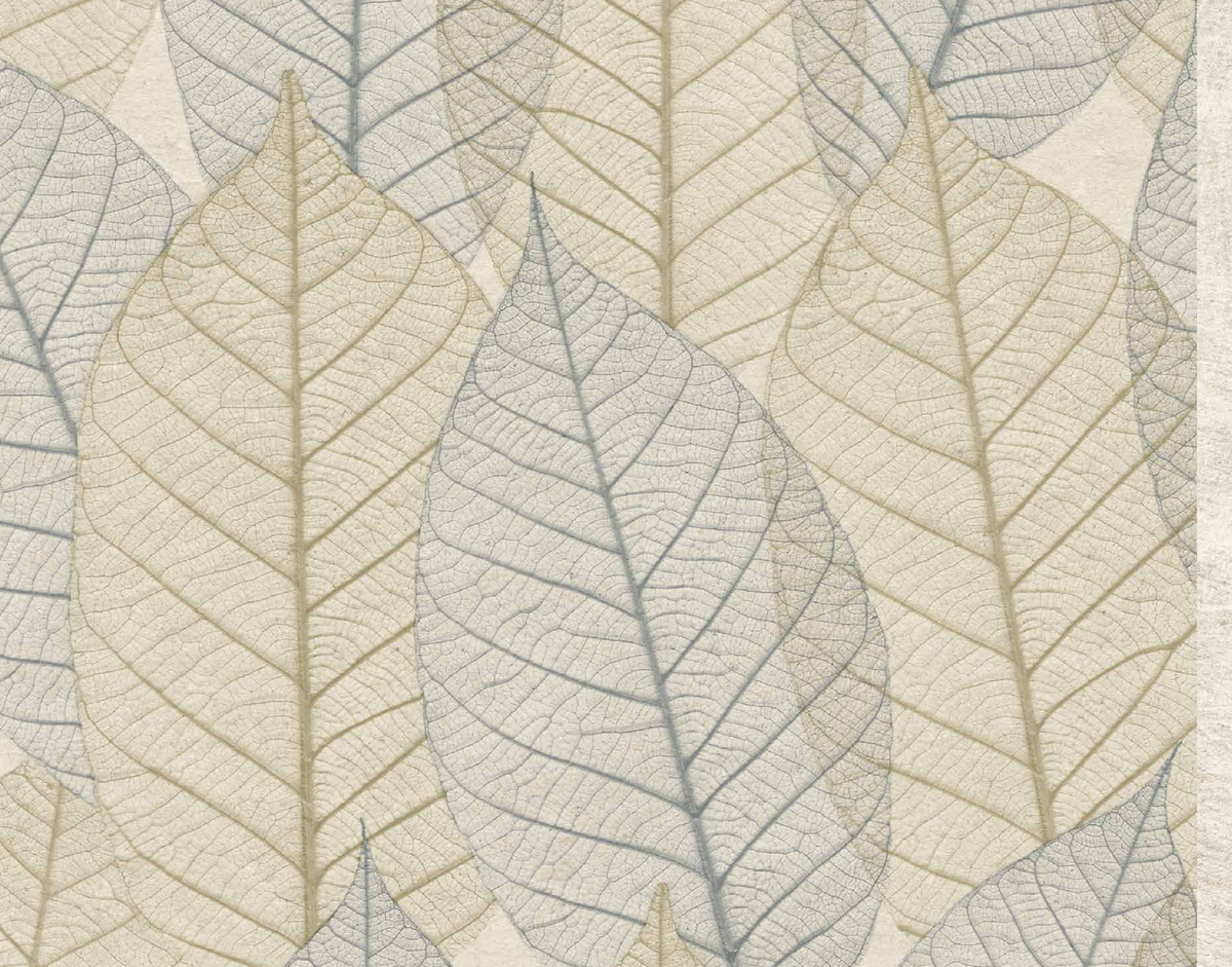 Exclusive Wallcoverings Cream wallpaper swatch