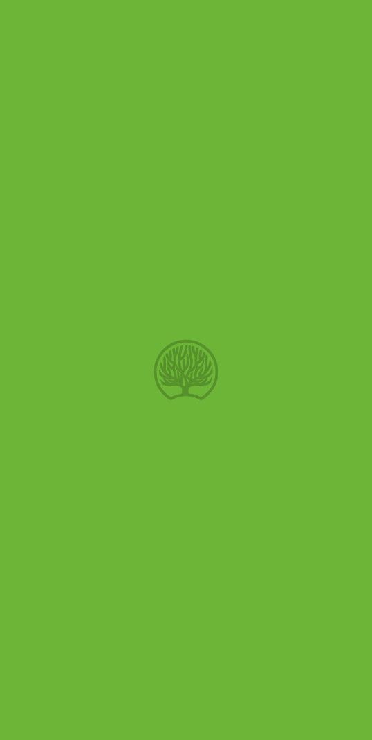 Green Green Plain Colors Suede Laminate - Heritage Surfaces