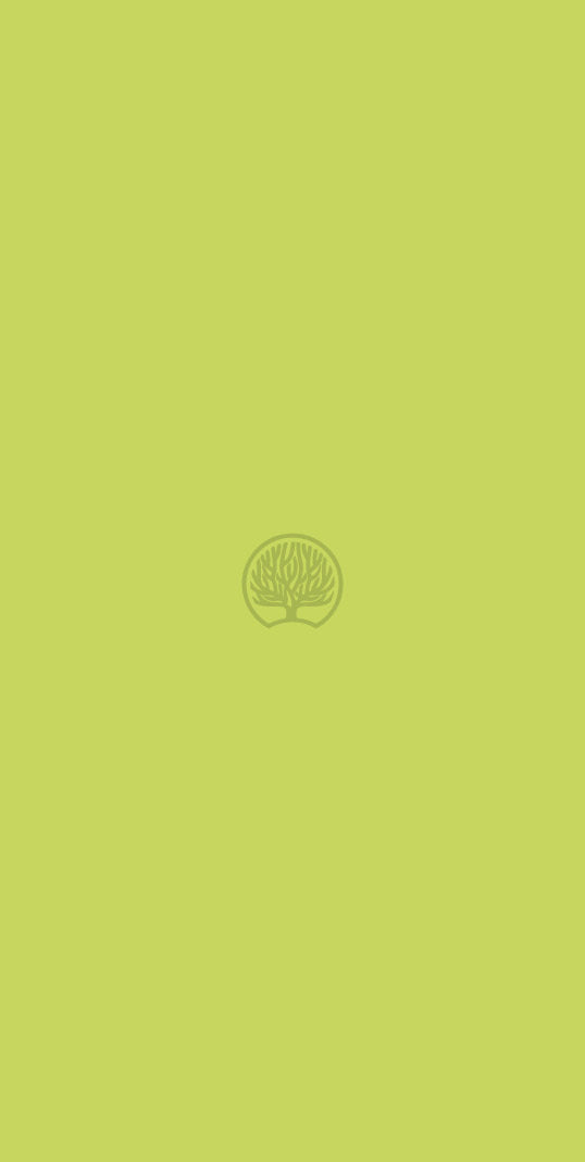 Mint Yellow Plain Colors Suede Laminate - Heritage Surfaces