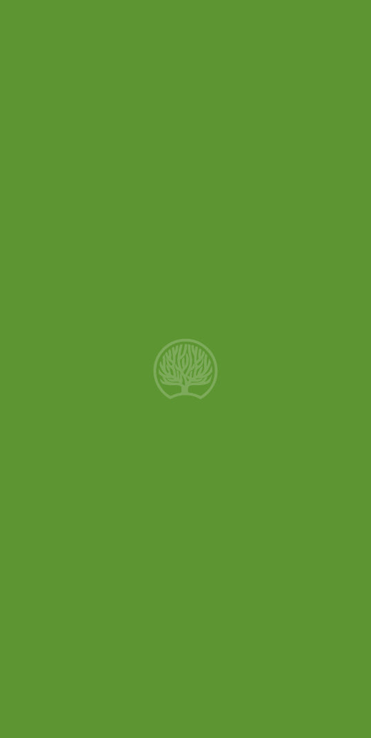 Leaf Green Green Plain Colors Suede Laminate - Heritage Surfaces