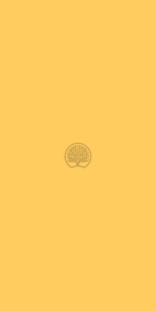 Gold Yellow Yellow Plain Colors Suede Laminate - Heritage Surfaces