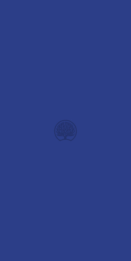 Electic Blue Blue Plain Colors Suede Laminate - Heritage Surfaces