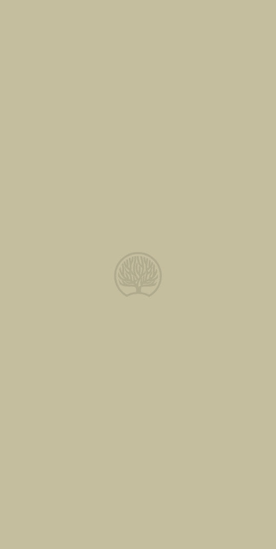 Khaki Beige Plain Colors Suede Laminate - Heritage Surfaces