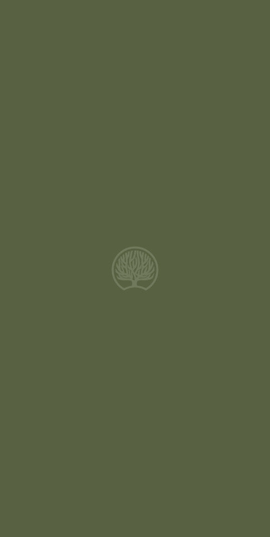 Olive Green Plain Colors Suede Laminate - Heritage Surfaces