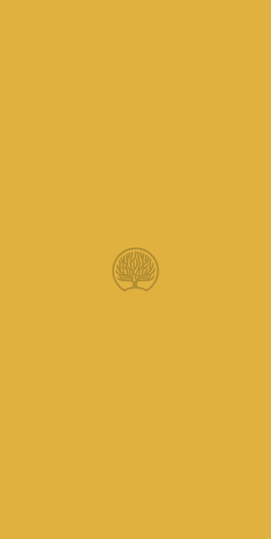 Mustard 2 Yellow Plain Colors Suede Laminate - Heritage Surfaces