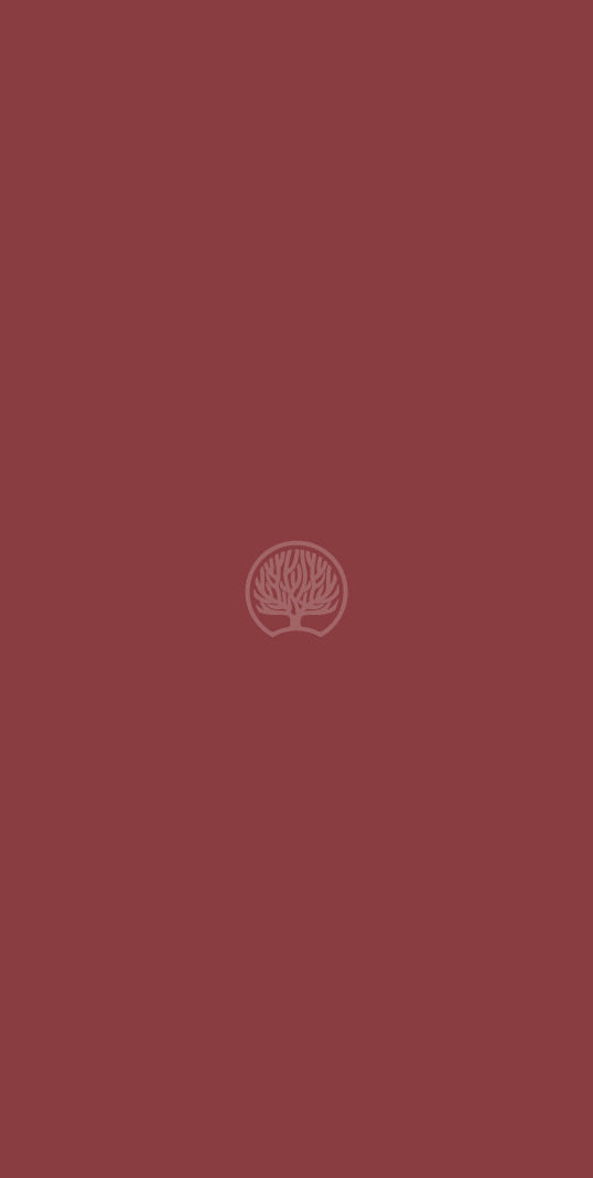 Rust Red Red Plain colors Soft Touch Laminate - Heritage Surfaces