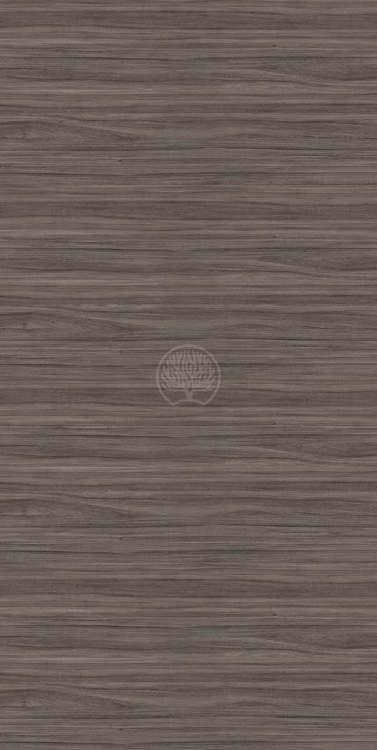 Griseo Elm 2 Grey Wood Texture Laminate - Heritage Surfaces