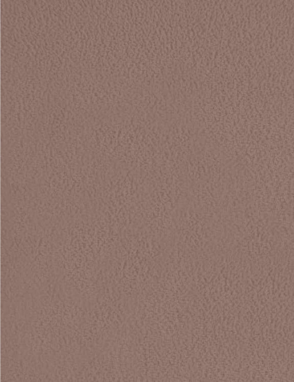 Matte brown laminate sheet with plain texture and subtle grain, displaying a uniform Irish cream color.