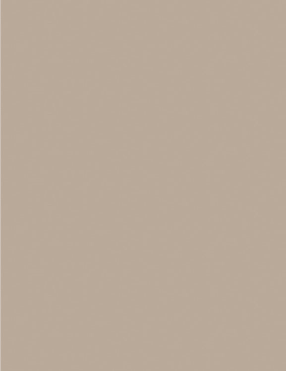 Beige matte plain color laminate with uniform texture and no pattern or grain visible in solid color surface.