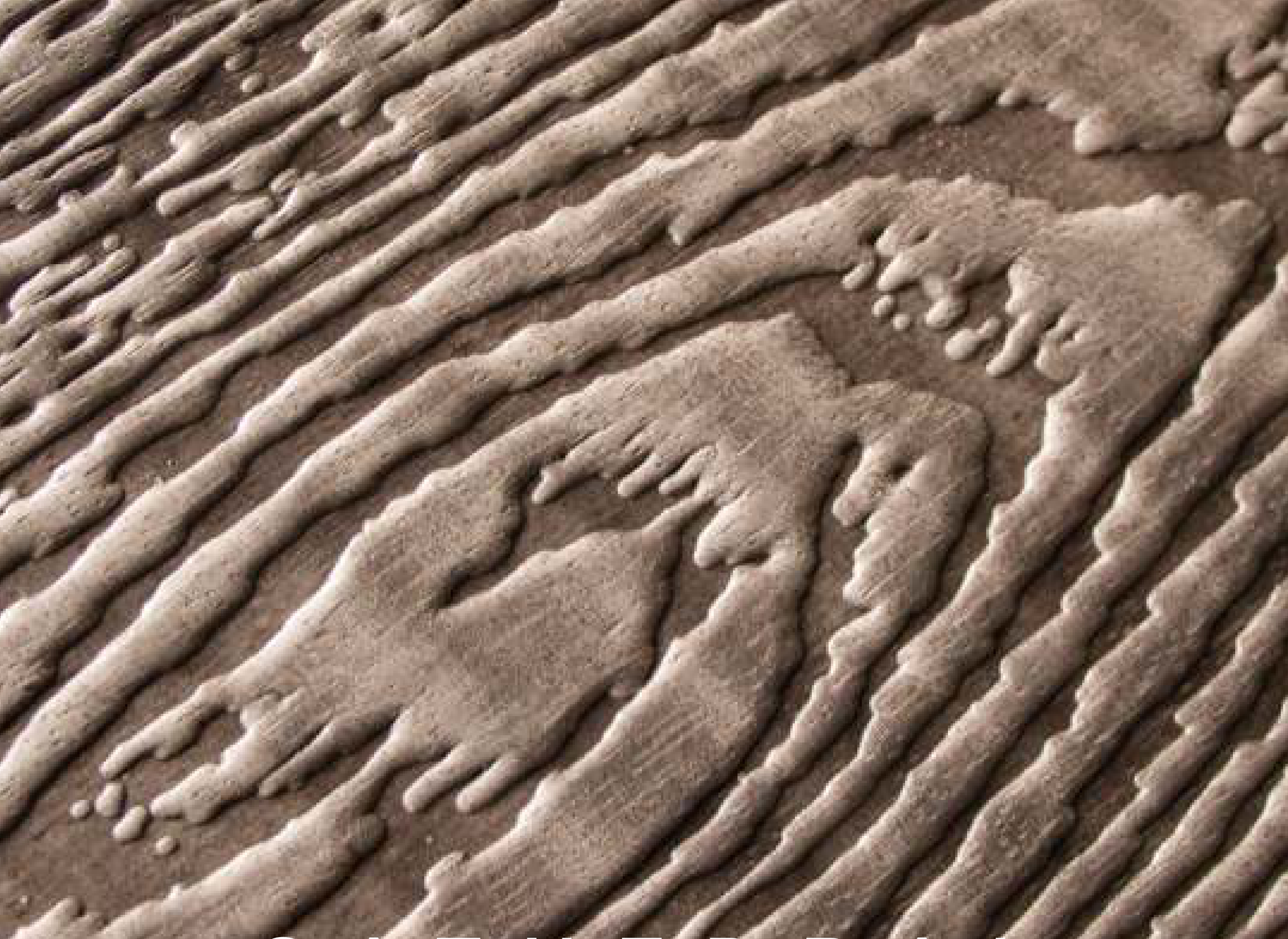 Cathedral hybrid veneer panel — brown real-wood veneer with a 3D wood embossed texture.