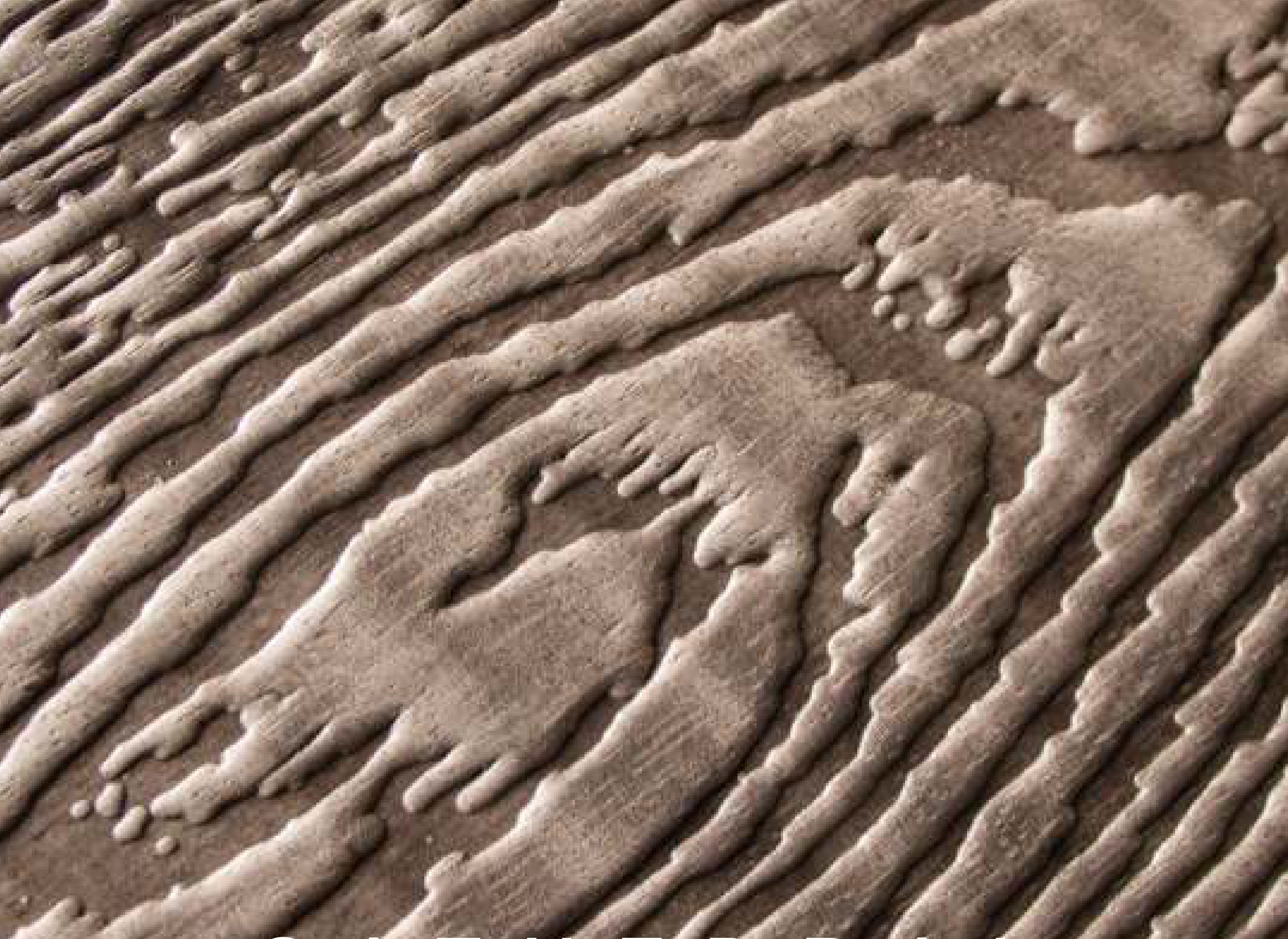Cathedral hybrid veneer panel — brown real-wood veneer with a 3D wood embossed texture.