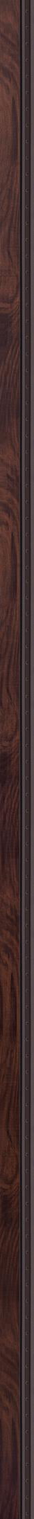 Wood tone wall panel with textured wood grain finish and dark border, showcasing natural wood pattern and texture.