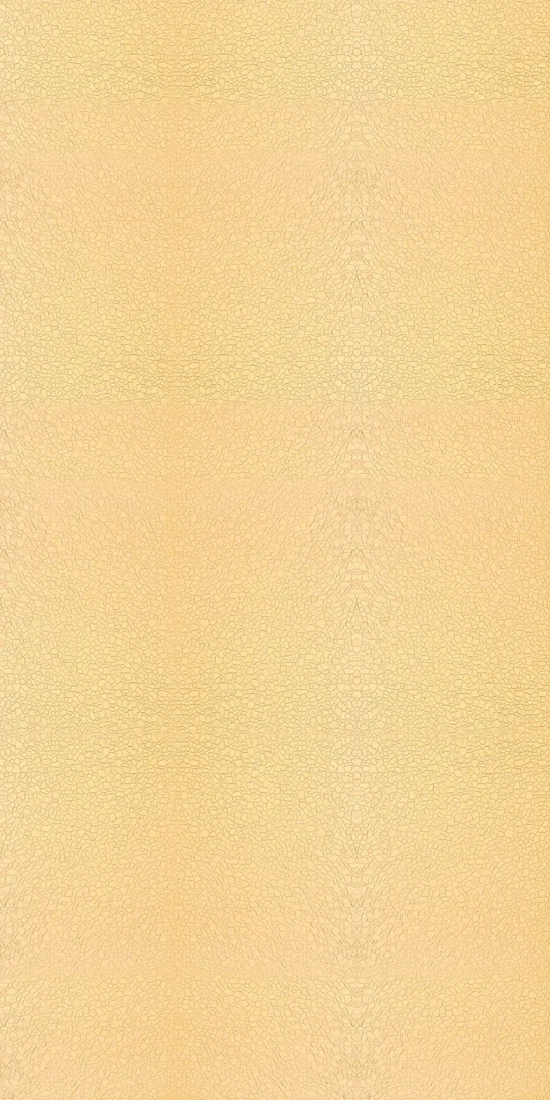 LIT LIT-117 Beige Leather Texture Laminate