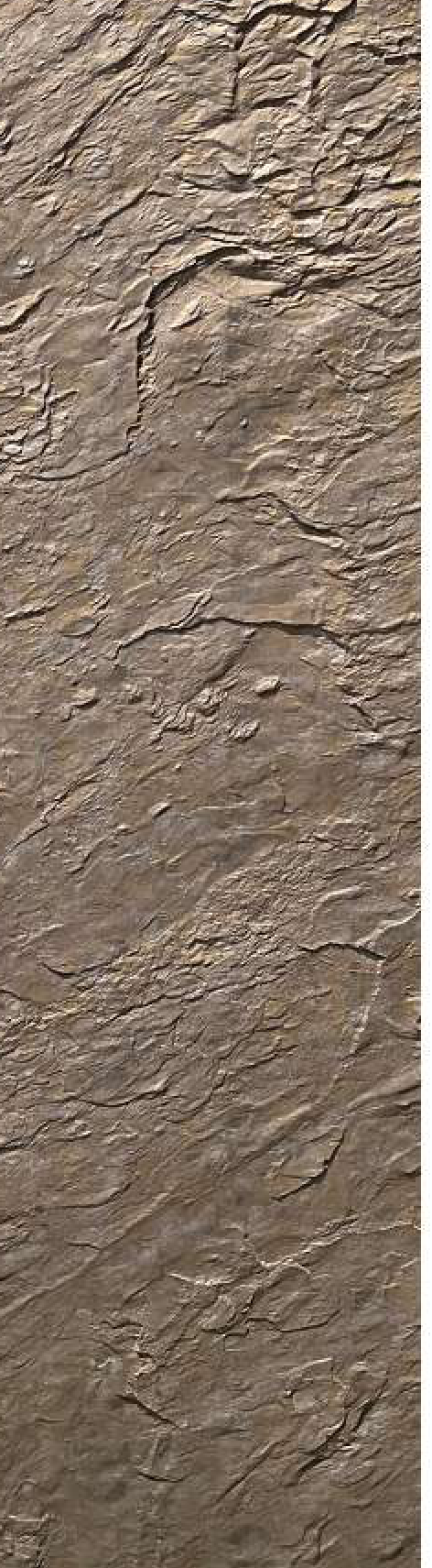 Meridian Laminato Driftwood Taupe wall panel, driftwood-grain stone finish