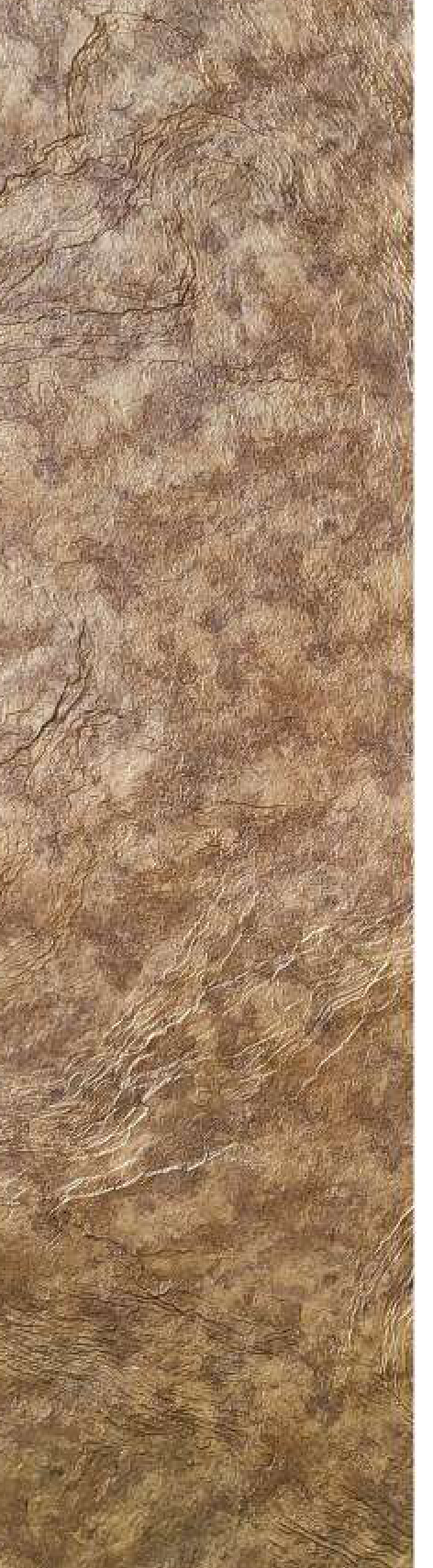 Meridian Laminato Golden Travertine wall panel, golden travertine finish
