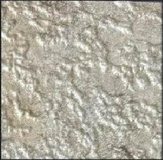Meridian Silver Frost LM-6507 decorative wall panel, beige texture finish