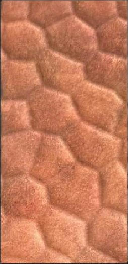 Meridian Terracotta Hex LM-6510 decorative wall panel, orange hexagon finish