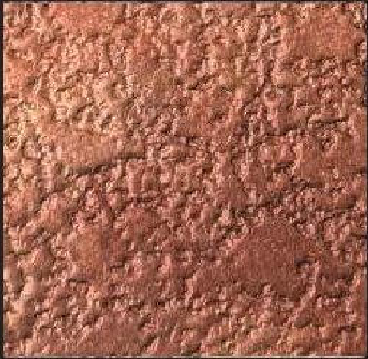 Meridian Terracotta Grain LM-6514 decorative wall panel, gold texture finish