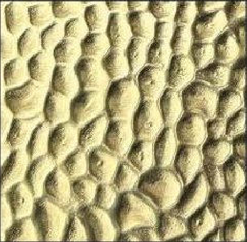 Meridian Gold Pebble LM-6527 decorative wall panel, beige texture finish