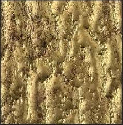 Meridian Gold Bark LM-6528 decorative wall panel, gold texture finish