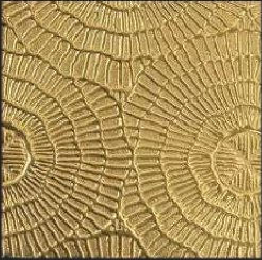 Meridian Gold Fossil LM-6529 decorative wall panel, gold texture finish