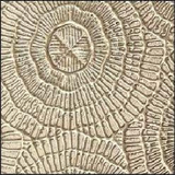 Meridian Sand Fossil LM-6537 decorative wall panel, beige texture finish