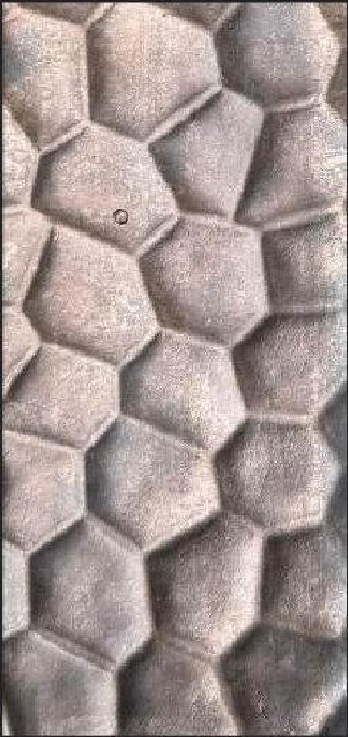 Meridian Pewter Hex LM-6544 decorative wall panel, grey hexagon finish