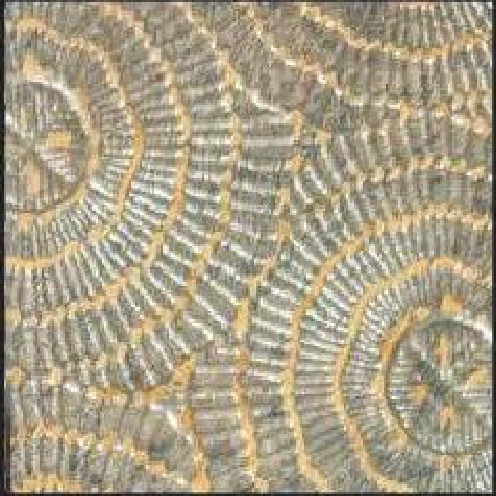 Meridian Rust Fossil LM-6547 decorative wall panel, beige texture finish