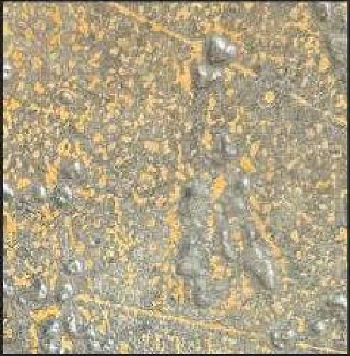Meridian Rust Gravel LM-6548 decorative wall panel, beige texture finish