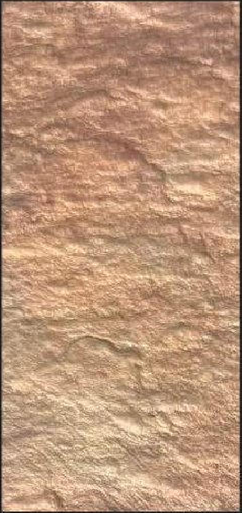 Meridian Clay Stone LM-6564 decorative wall panel, beige texture finish