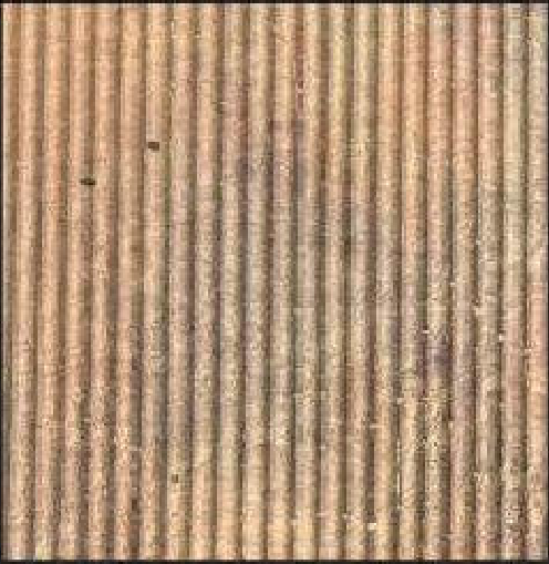 Meridian Clay Rib LM-6565 decorative wall panel, beige ribbed finish